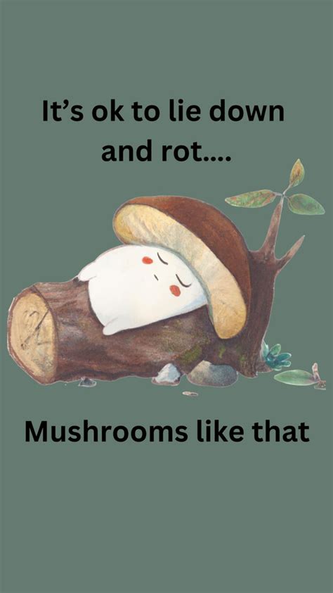 Funny Mushroom Meme - Take a Break and Relax