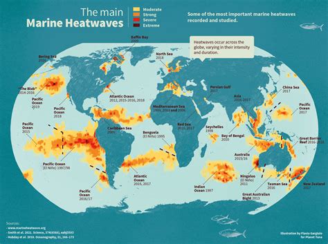 What Is A Marine Heatwave And How Does It Affect Life In Our Oceans Planet Tuna