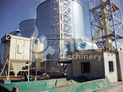 15000T Grain Silo Construction Project for corn maize soybean storage ...