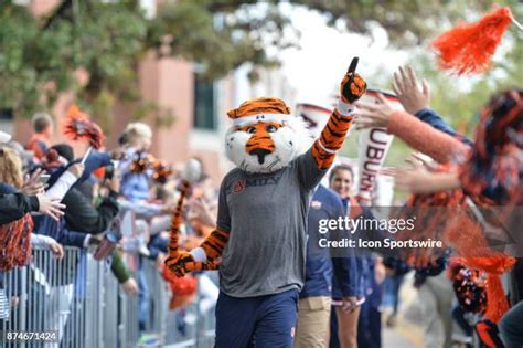 Alabama University Mascot Photos and Premium High Res Pictures - Getty ...