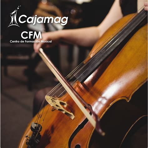 Violonchelo Y Contrabajo Cajamag