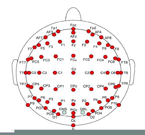 64 Eeg Electrodes Following The 10 20 International Electrode Layout