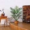 Amazon LOMANTO Fake Majesty Palm Plant 3Ft Artificial Plants For