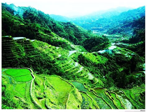 Banaue Rice Terraces Wallpapers Top Free Banaue Rice Terraces