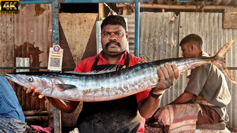 Kasimedu Speed Selvam Big Size Live Aara Kola Fish Cutting Video