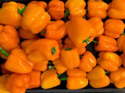 Orange bell peppers – Shot Fotos