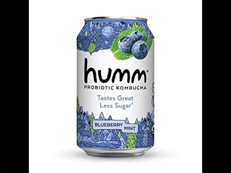 Healthy Beverages 06 Humm Probiotic Kombucha Blueberry Mint YouTube