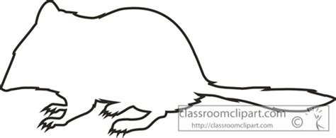 Animals Black And White Outline Clipart Cresttailedmarsupialmouse