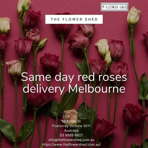 Red Roses Delivery Melbourne | GMC Terrain Forum