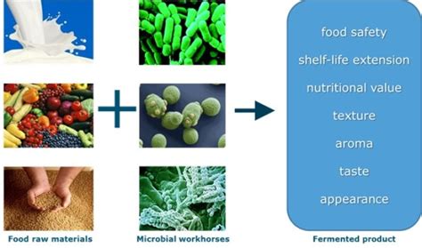 Food Fermentation - WUR