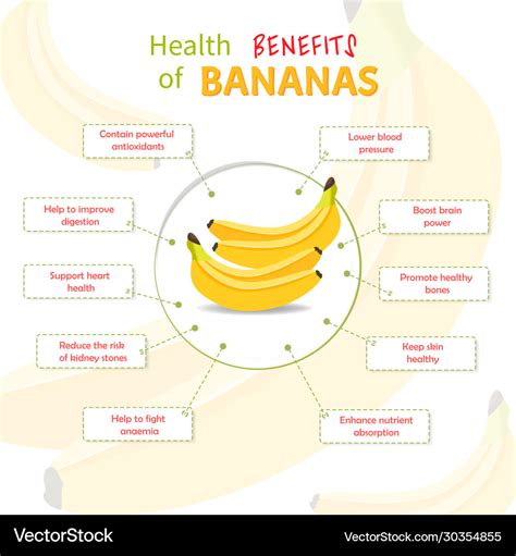 Health Benefits Of Bananas At Greg Booth Blog