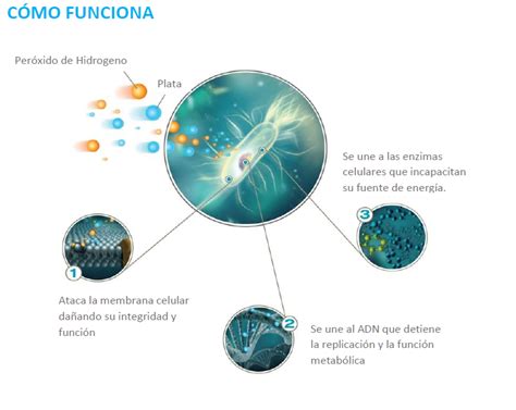 El Per Xido De Hidr Geno Un Potente Desinfectante Tecnobio