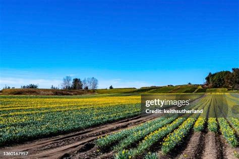 Central Saanich Photos and Premium High Res Pictures - Getty Images