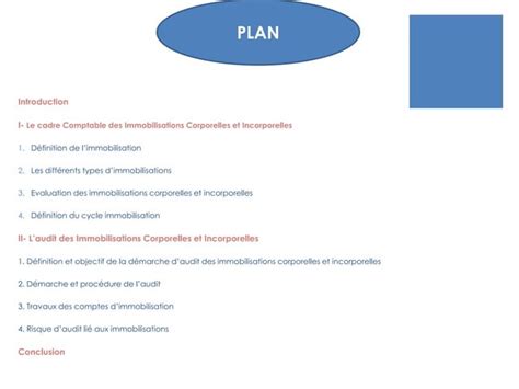 Audit Des Immobilisations Ppt