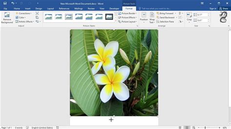 How To Print A Cover Page In Word Printable Form Templates And Letter