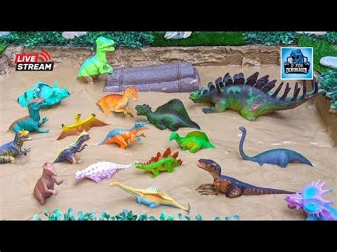 Live Fun Learning With Plastic Toy Dinosaurs Stuck In The Mud D For