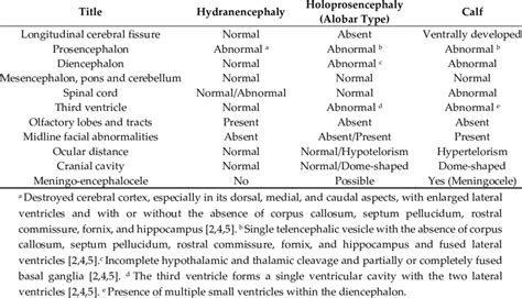 Neuropathological Features Of Hydranencephaly Holoprosencephaly And