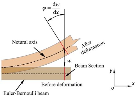 Deformation Characteristics Of A Euler Bernoulli Beam Download Scientific Diagram