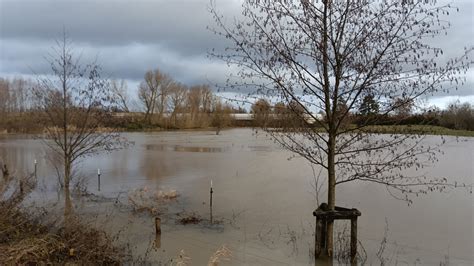 Hochwasserlage angespannt Der Regen ist zurück regionalHeute de