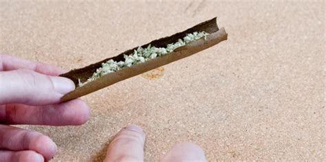 Roll a Perfect Blunt Every Time In 5 Easy Steps - Marijuana Science