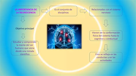 Importancia De La Neurociencia Ppt