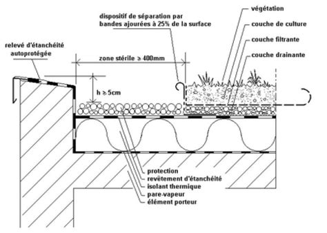 Schéma De Coupe Dune Toiture Végétalisée Type