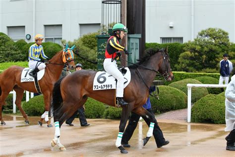 アスールアラテラ Thanks Horse Platform（サンクスホースプラットフォーム）