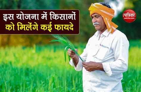 Pradhan Mantri Fasal Bima Yojana Farmer Registration Before 31 July