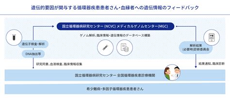 一般の方へ Grand Star Next研究｜循環器疾患における ゲノム医療推進、遺伝子解析 国⽴循環器病研究センター