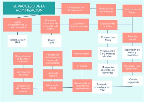 Proceso De Hominizaci N Mapa Mental The Best Porn Website