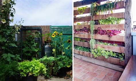 Potager vertical 6 solutions et idées pour le réaliser