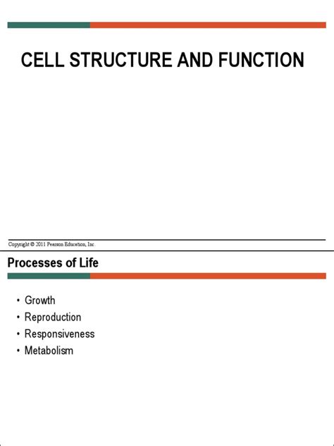 04 Bacterial Structure | PDF | Cell (Biology) | Cell Membrane