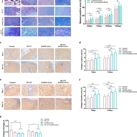 Histochemical Analysis Of Collagen Deposition In Wounds Treated By