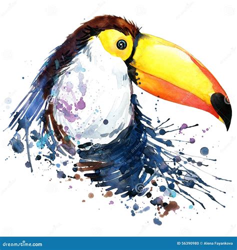 Toucan T-shirt Graphics. Toucan Illustration with Splash Watercolor ...