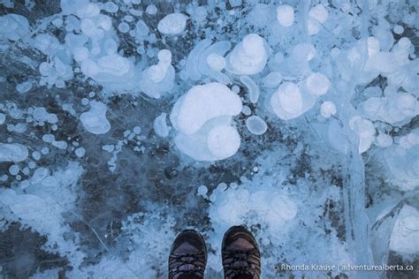 Abraham Lake Bubbles- How to See the Frozen Bubbles in Abraham Lake