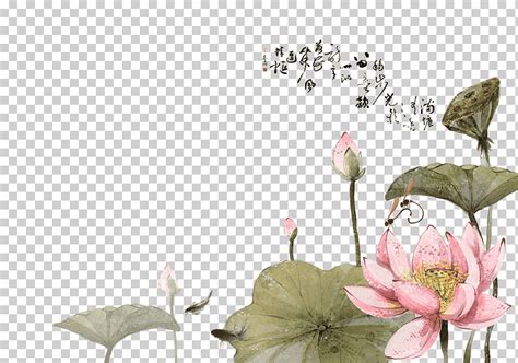 Lavado A Tinta Pintura Nelumbo Nucifera Shan Shui Chinoiserie Estilo