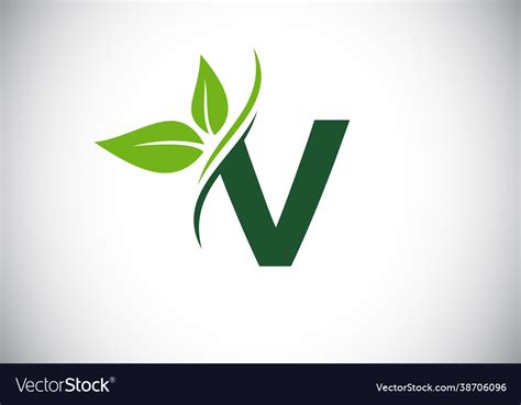 Initial V Monogram Alphabet With Two Leaves Green Vector Image