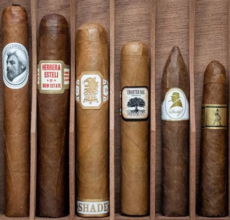 What Are The Best Cigars For Beginners Cigar Reviews