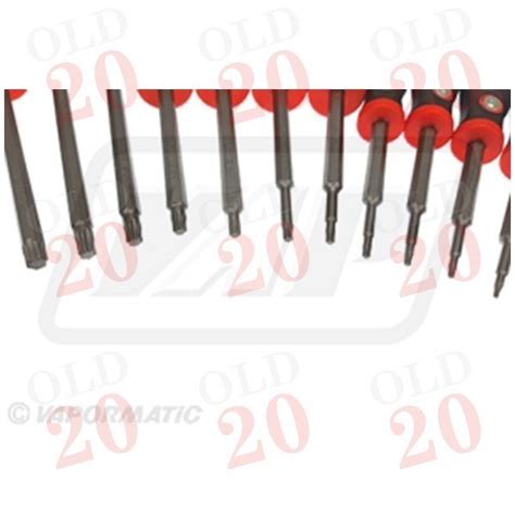 13 Piece Star Type Screwdriver Set