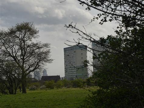 Wanstead Flats - Alchetron, The Free Social Encyclopedia