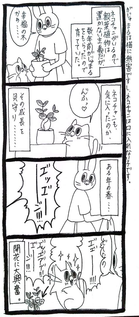 猫】ネコチャン「私が育てました」 」うさぎのみみちゃん😇あべのキューズモール42930の漫画