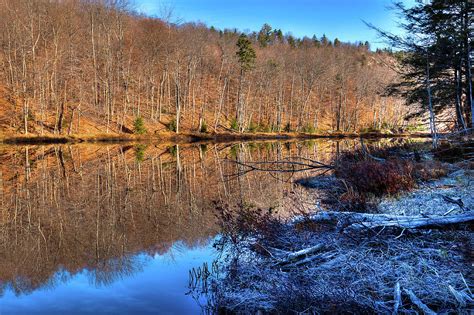 November Reflections Bald Mountain Pond Photograph By David Patterson