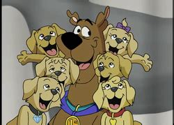 The Secret Six - Scooby Doo Daily