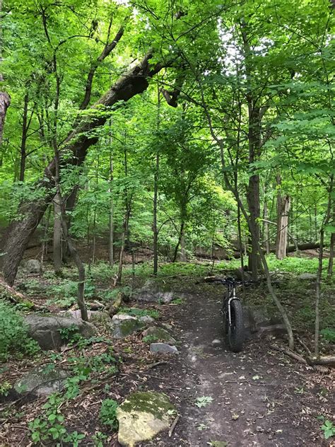 Lake Rebecca Mountain Bike Trail in Rockford, Minnesota - Directions
