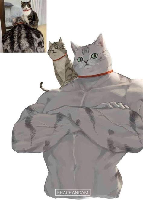 Buff cat : r/BuffCats