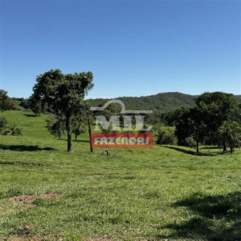 Mil Fazendas Fazenda Para Pecu Ria Intensiva Diferenciada Rea Total