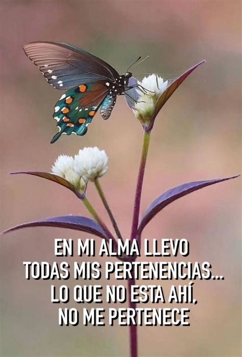 pin de mayra  en vip frases bonitas de reflexion frases bonitas