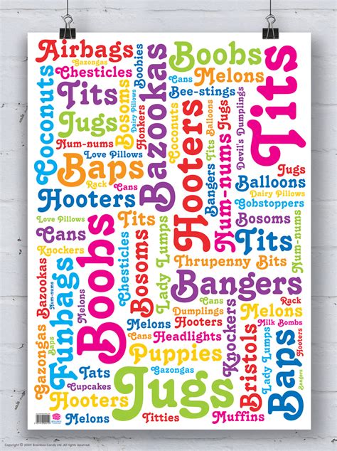 Rude Gift Wrap - Boob Word Wrapping Paper By Brainbox Candy | brainboxcandy.com