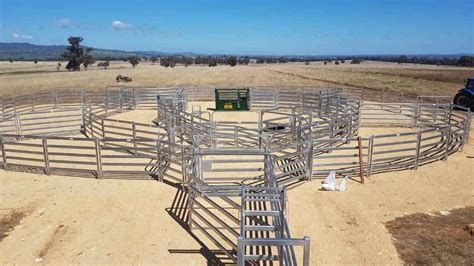 Cattle & Sheep Yard Plans — M & M Stockyards