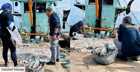 Pendaratan Ikan Cukup Dan Terjamin Sepanjang Aidilfitri